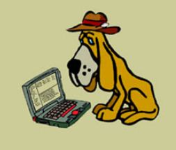 Autopsy Forensic Browser