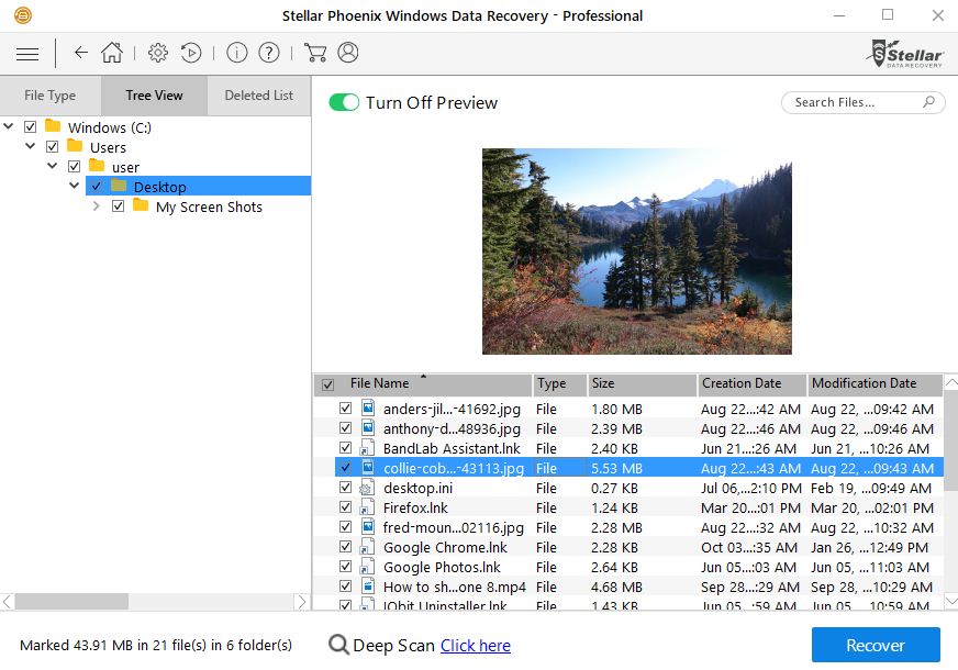 stellar phoenix windows data recovery pro 6 stellar phoenix windows data recovery pro 6
