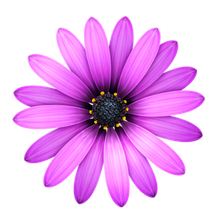 TextMate