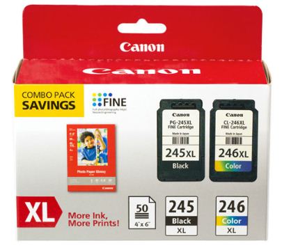 Canon Pixma MG2522 Ink